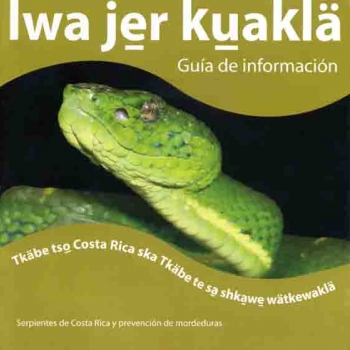 Costa Rican Snakes and Bite Prevention: Information Guide